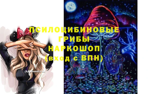 ПСИЛОЦИБИНОВЫЕ ГРИБЫ Абдулино