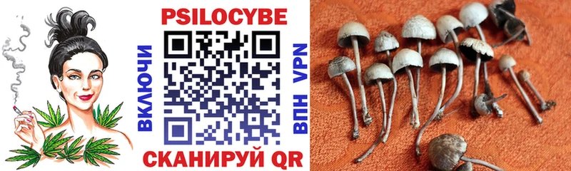 Псилоцибиновые грибы Psilocybine cubensis  что такое наркотик  Никольск 