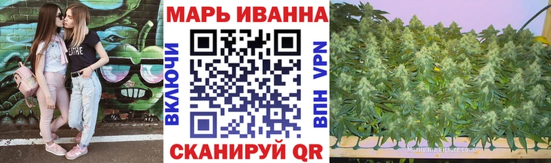 ссылка на мегу вход  закладка  Никольск  Каннабис семена 